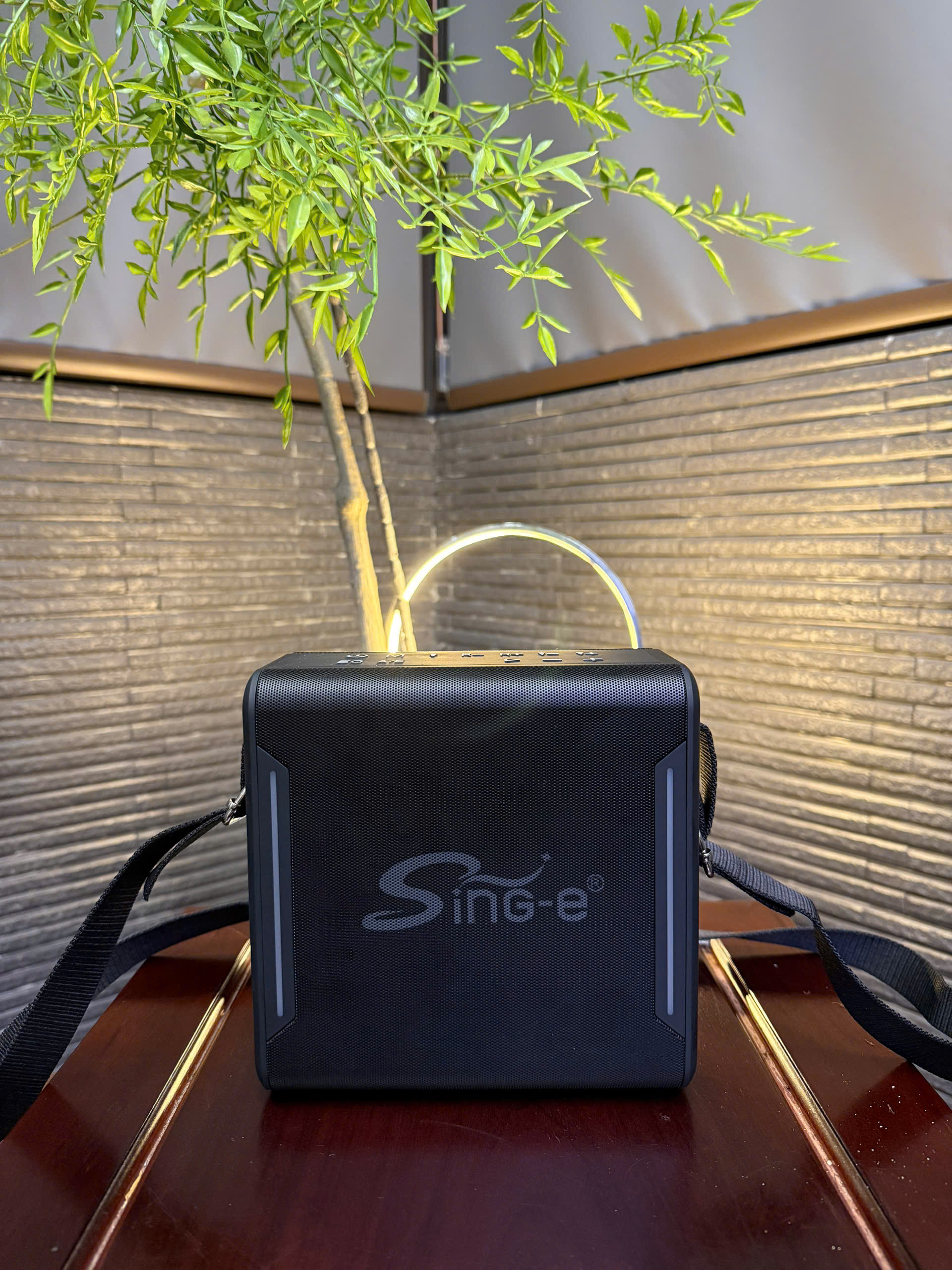 LOA XÁCH TAY HIVI-1102