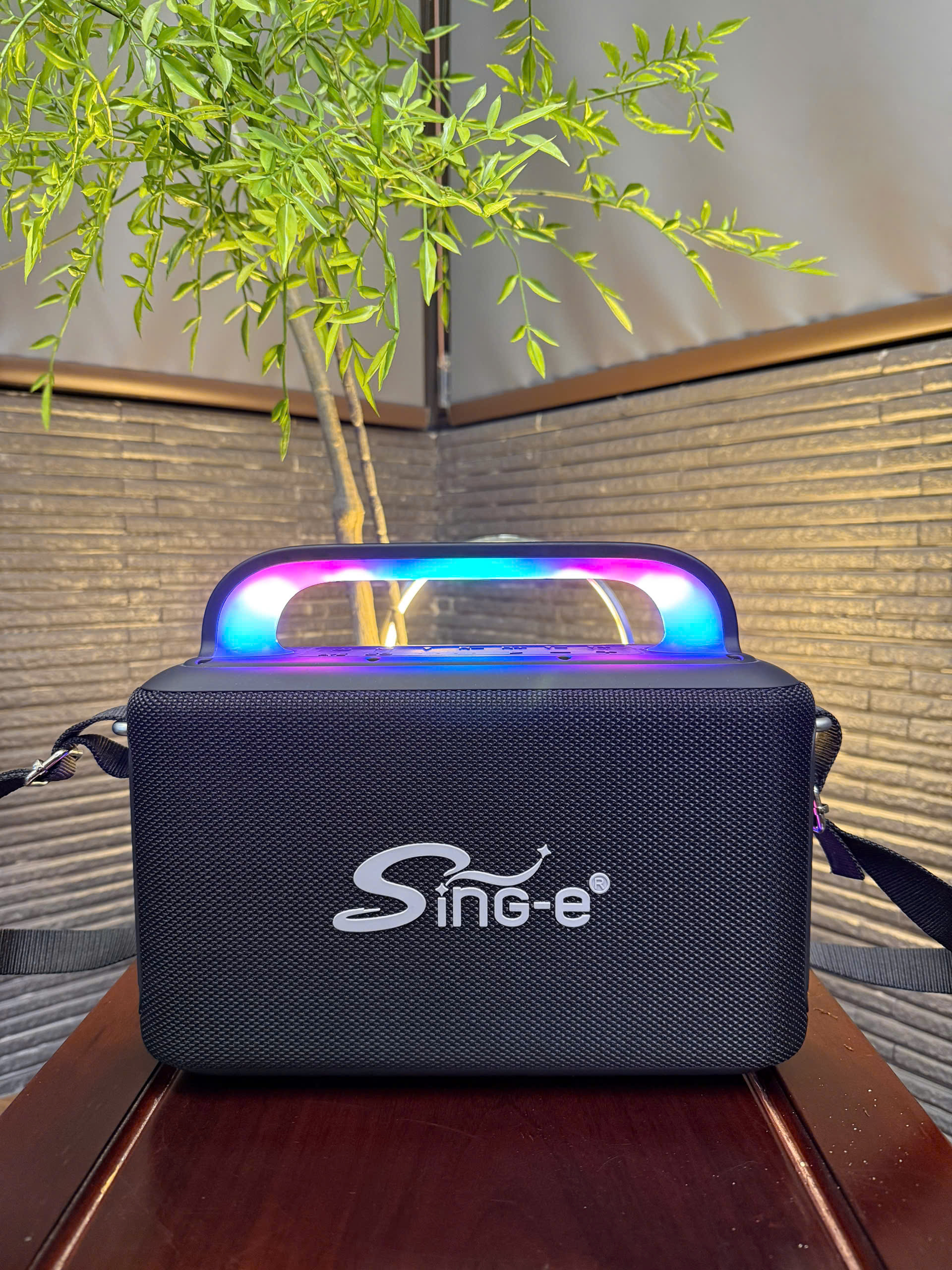 LOA XÁCH TAY HIVI-2650